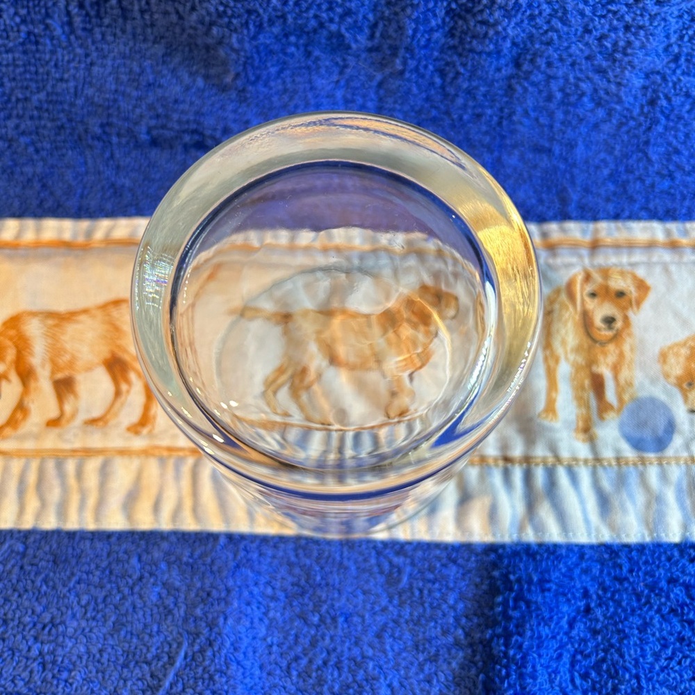 Lowball (Rocks) Glasses - Picture 8 of 10